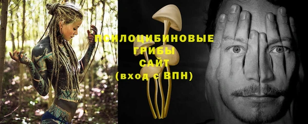сатива Алексин