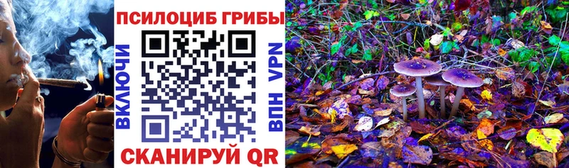 Купить где  Сибай  Галлюциногенные грибы MAGIC MUSHROOMS 